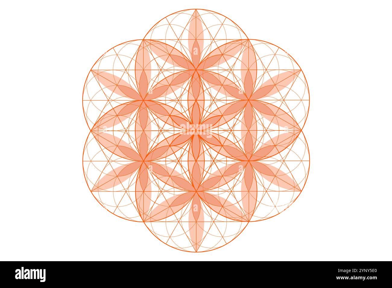 Blume des Lebens, heilige Geometrie. lotusblume. mandala Ornament Same of Life Icon, esoterische oder spirituelle Symbol. Design mit Logolinie isoliert Stock Vektor