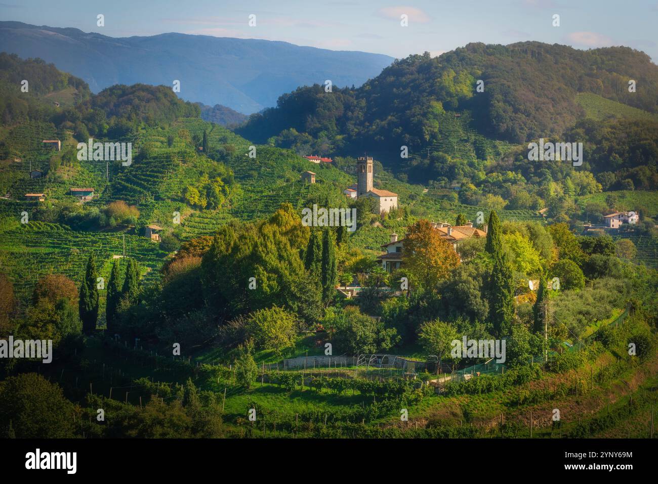 Prosecco Hills, Weinberge und San Lorenzo Kirche bei Sonnenaufgang. Unesco-Stätte. Farra di Soligo. Veneto Region, Italien, Europa. Stockfoto