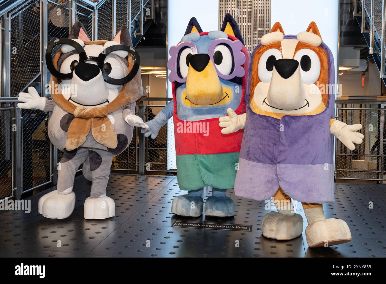 New York, NY, USA, 22. November 2024: Muffin, Bluey, Bingo aus der Disney-Zeichentrickserie Bluey besuchen das Empire State Building in New York am 22. November 2024 vor Macy's Thanksgiving Day Parade, wo ein Ballon von Bluey fliegen wird. Quelle: Lev Radin/Alamy Live News Stockfoto