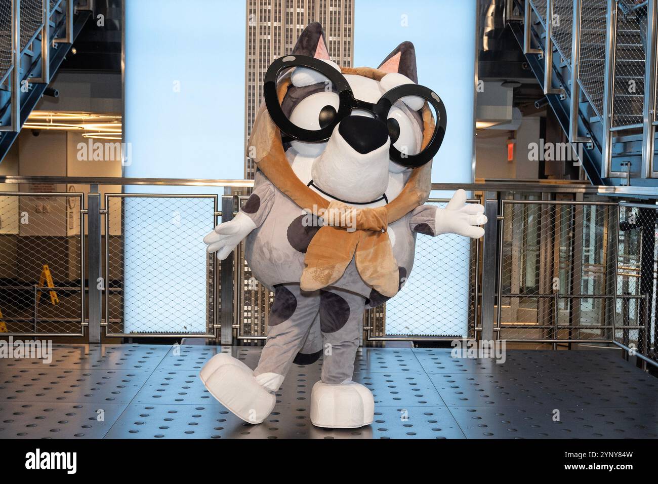 New York, NY, USA, 22. November 2024: Muffin aus der Disney-Zeichentrickserie „Bluey“ besucht das Empire State Building in New York am 22. November 2024 vor Macy's Thanksgiving Day Parade, wo ein Ballon von Bluey fliegen wird. Muffin wurde von Bluey- und Bingo-Charakteren begleitet. Quelle: Lev Radin/Alamy Live News Stockfoto