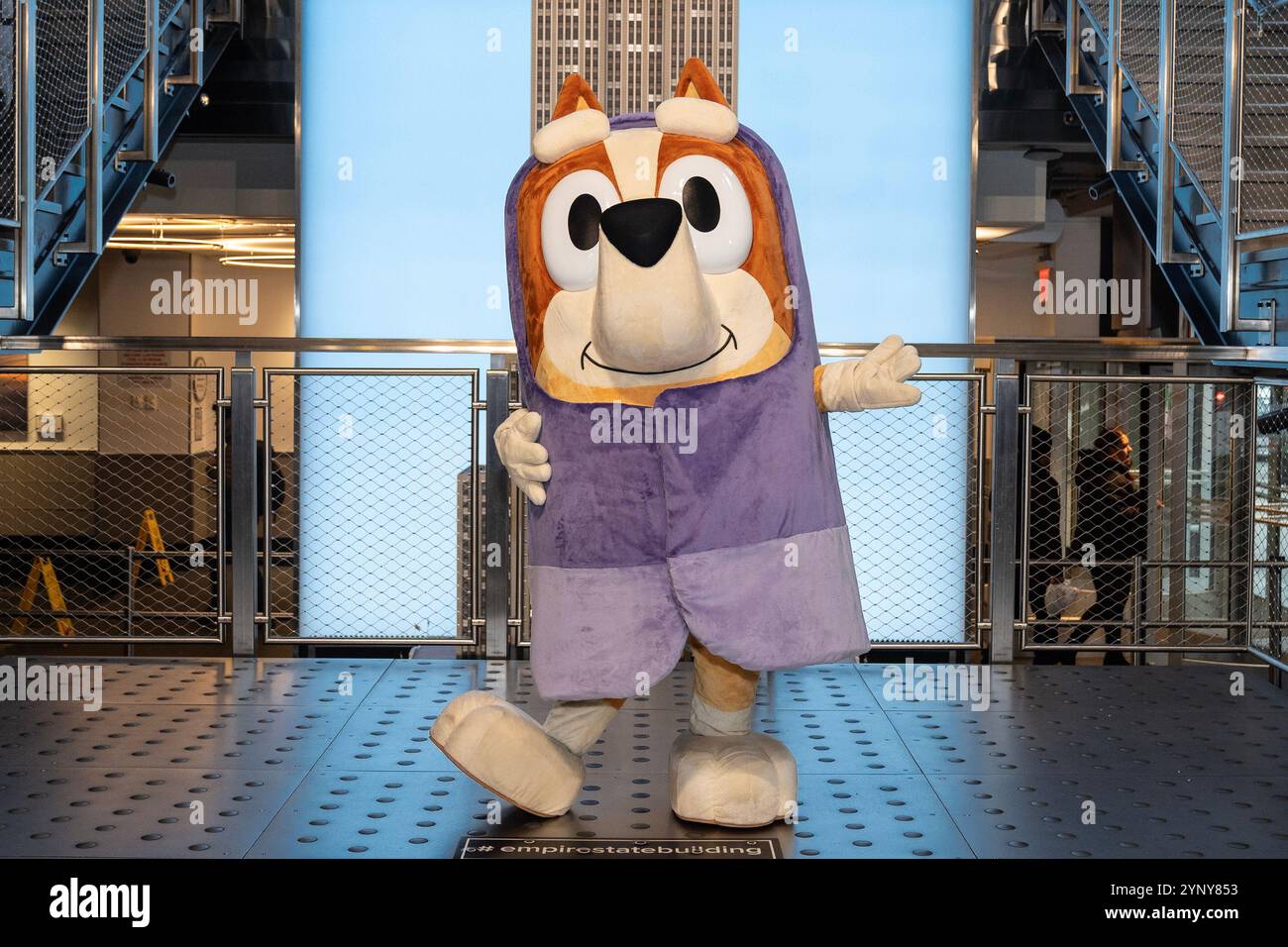 New York, NY, USA, 22. November 2024: Bingo aus der Disney-Zeichentrickserie „Bluey“ besucht das Empire State Building in New York am 22. November 2024 vor Macy's Thanksgiving Day Parade, wo ein Ballon von Bluey fliegen wird. Bingo wurde von Bluey und Muffin begleitet. Quelle: Lev Radin/Alamy Live News Stockfoto