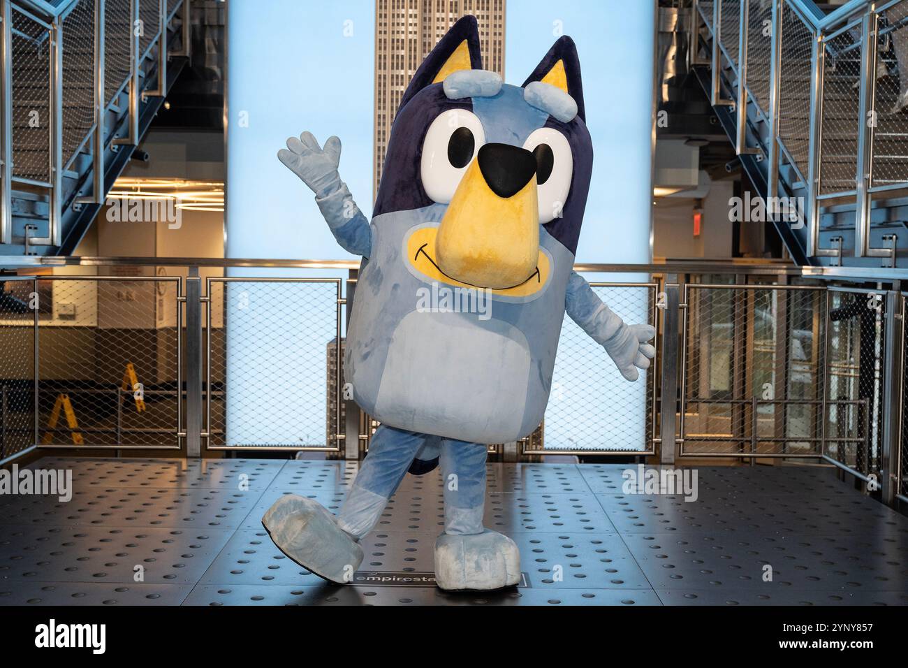 New York, NY, USA, 22. November 2024: Bluey aus Disney besucht das Empire State Building in New York am 22. November 2024 vor Macy's Thanksgiving Day Parade, wo ein Ballon von Bluey fliegen wird. Bluey wurde von Bingo und Muffin begleitet. Quelle: Lev Radin/Alamy Live News Stockfoto