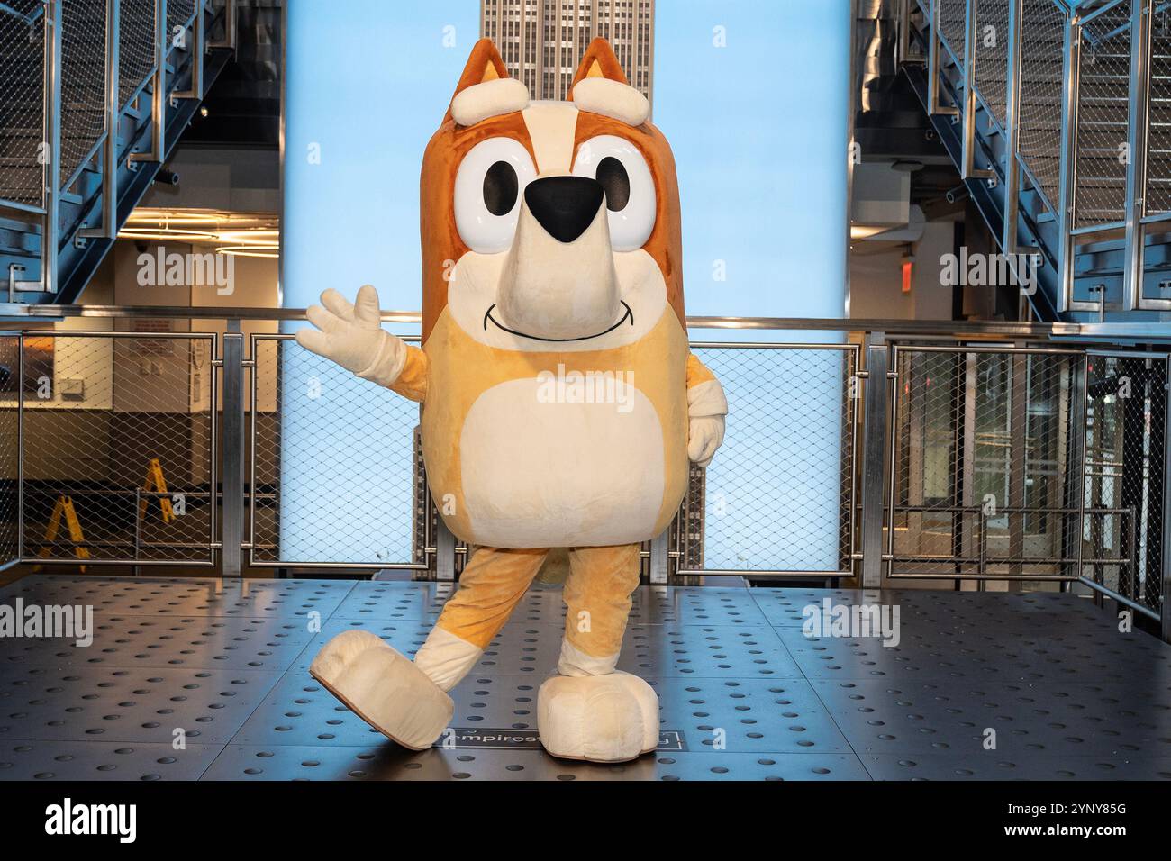 New York, NY, USA, 22. November 2024: Bingo aus der Disney-Zeichentrickserie „Bluey“ besucht das Empire State Building in New York am 22. November 2024 vor Macy's Thanksgiving Day Parade, wo ein Ballon von Bluey fliegen wird. Bingo wurde von Bluey und Muffin begleitet. Quelle: Lev Radin/Alamy Live News Stockfoto