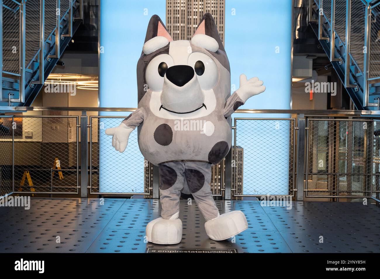 New York, NY, USA, 22. November 2024: Muffin aus der Disney-Zeichentrickserie „Bluey“ besucht das Empire State Building in New York am 22. November 2024 vor Macy's Thanksgiving Day Parade, wo ein Ballon von Bluey fliegen wird. Muffin wurde von Bluey- und Bingo-Charakteren begleitet. Quelle: Lev Radin/Alamy Live News Stockfoto