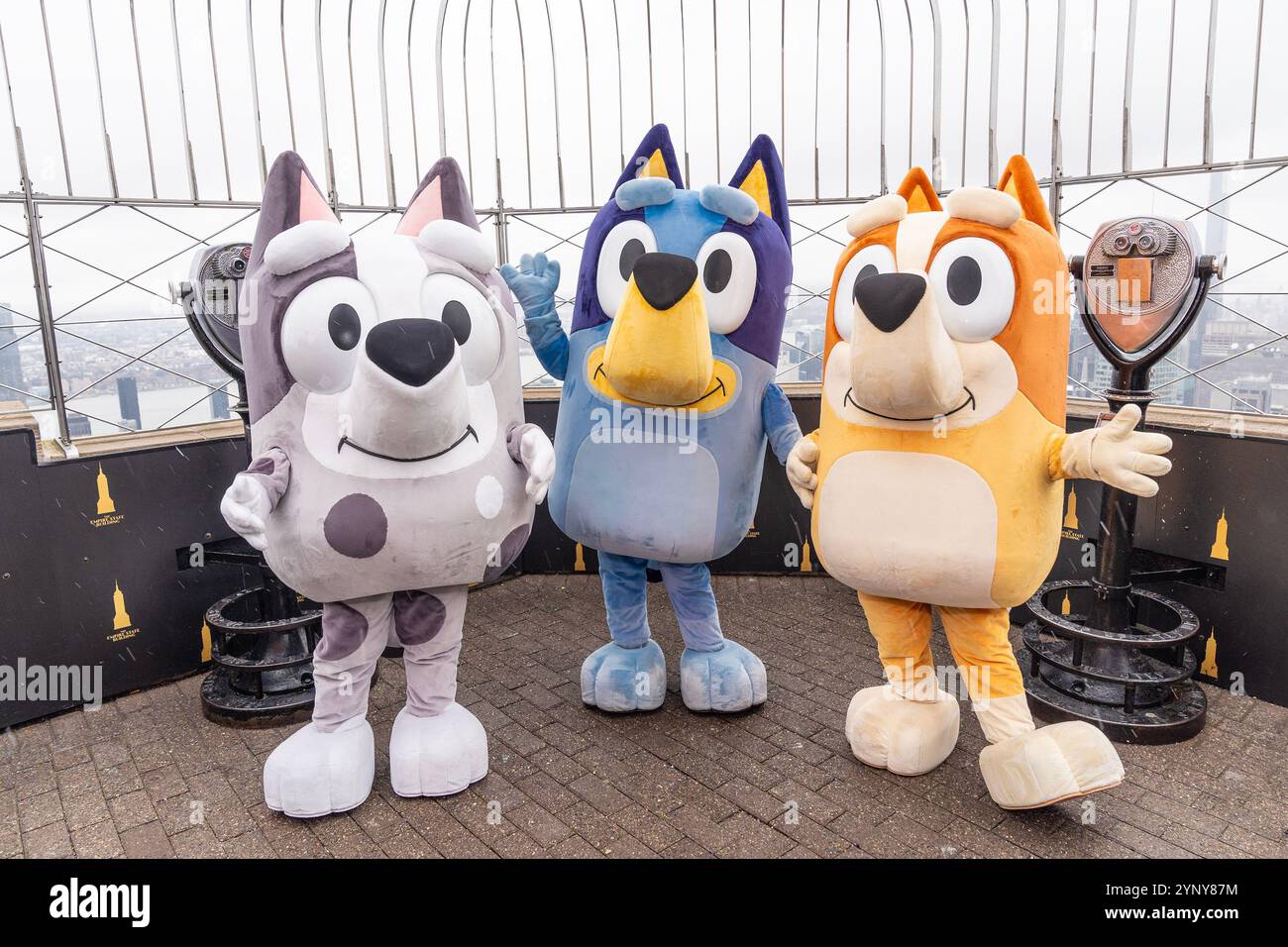 New York, NY, USA, 22. November 2024: Muffin, Bluey, Bingo aus der Disney-Zeichentrickserie Bluey besuchen das Empire State Building in New York am 22. November 2024 vor Macy's Thanksgiving Day Parade, wo ein Ballon von Bluey fliegen wird. Quelle: Lev Radin/Alamy Live News Stockfoto
