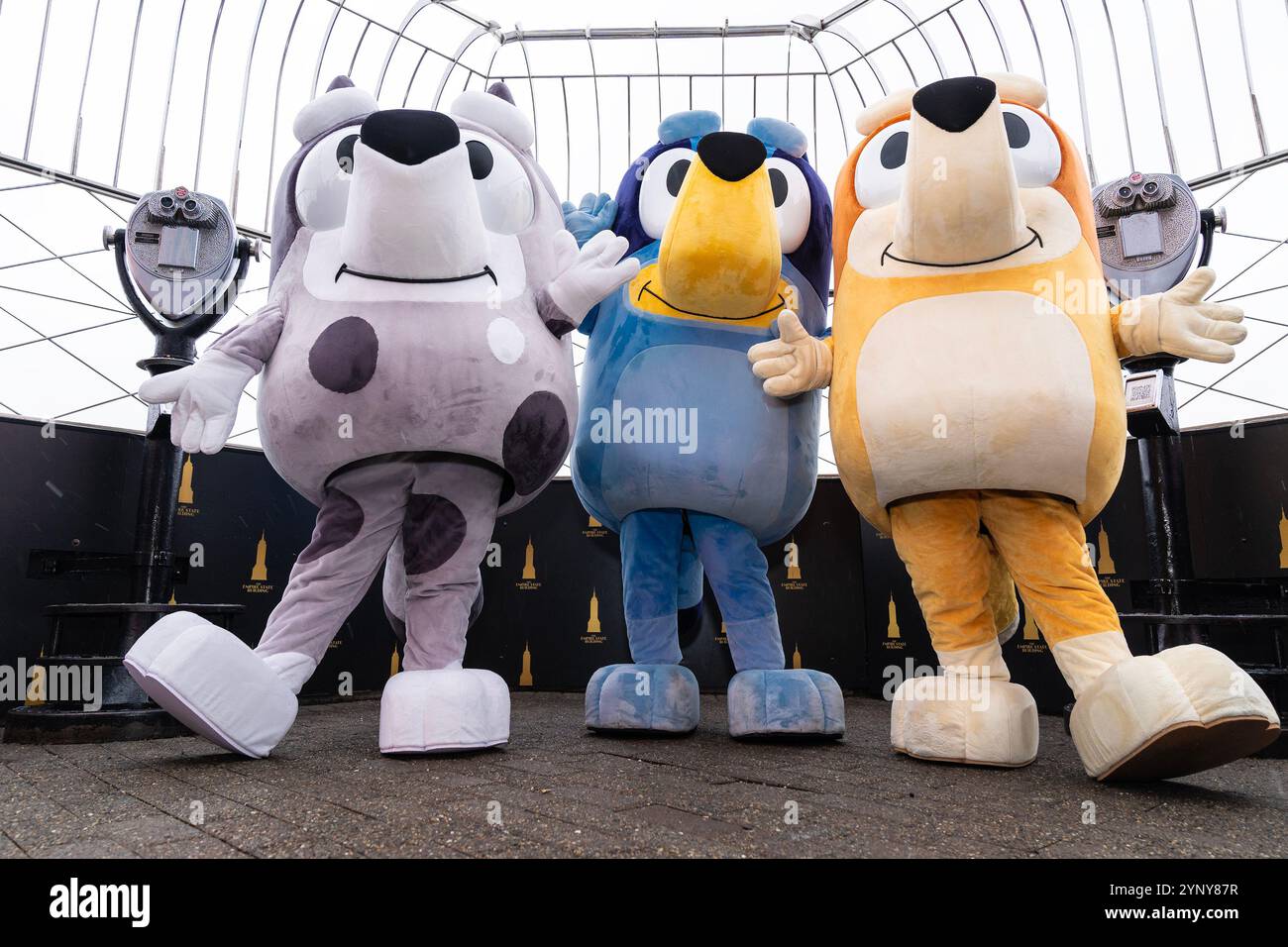 New York, NY, USA, 22. November 2024: Muffin, Bluey, Bingo aus der Disney-Zeichentrickserie Bluey besuchen das Empire State Building in New York am 22. November 2024 vor Macy's Thanksgiving Day Parade, wo ein Ballon von Bluey fliegen wird. Quelle: Lev Radin/Alamy Live News Stockfoto