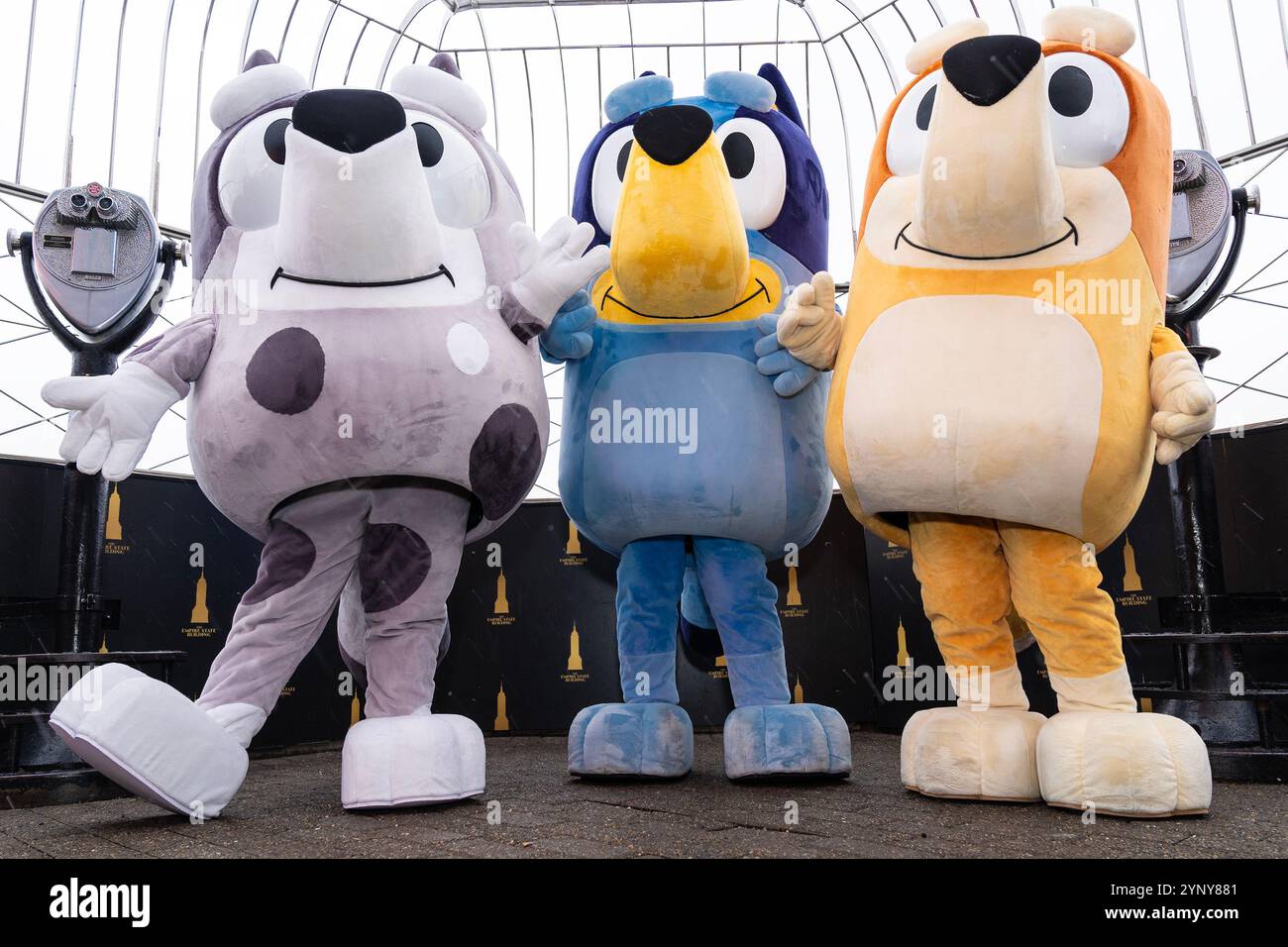 New York, NY, USA, 22. November 2024: Muffin, Bluey, Bingo aus der Disney-Zeichentrickserie Bluey besuchen das Empire State Building in New York am 22. November 2024 vor Macy's Thanksgiving Day Parade, wo ein Ballon von Bluey fliegen wird. Quelle: Lev Radin/Alamy Live News Stockfoto