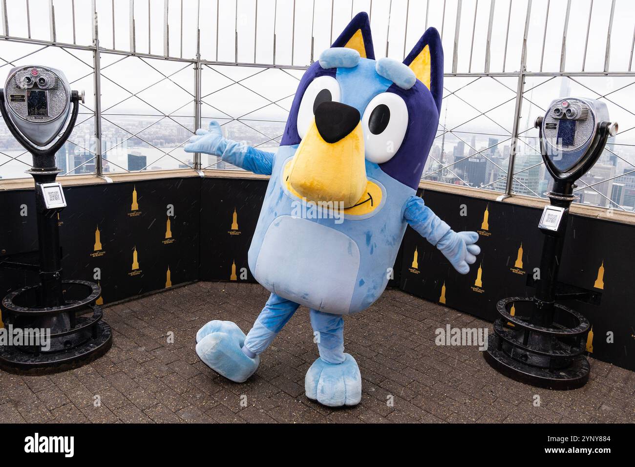 New York, NY, USA, 22. November 2024: Bluey aus Disney besucht das Empire State Building in New York am 22. November 2024 vor Macy's Thanksgiving Day Parade, wo ein Ballon von Bluey fliegen wird. Bluey wurde von Bingo und Muffin begleitet. Quelle: Lev Radin/Alamy Live News Stockfoto