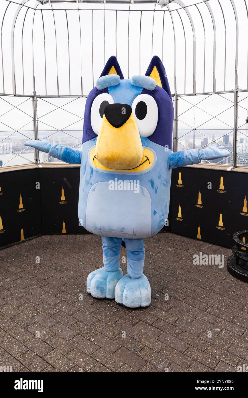 New York, NY, USA, 22. November 2024: Bluey aus Disney besucht das Empire State Building in New York am 22. November 2024 vor Macy's Thanksgiving Day Parade, wo ein Ballon von Bluey fliegen wird. Bluey wurde von Bingo und Muffin begleitet. Quelle: Lev Radin/Alamy Live News Stockfoto