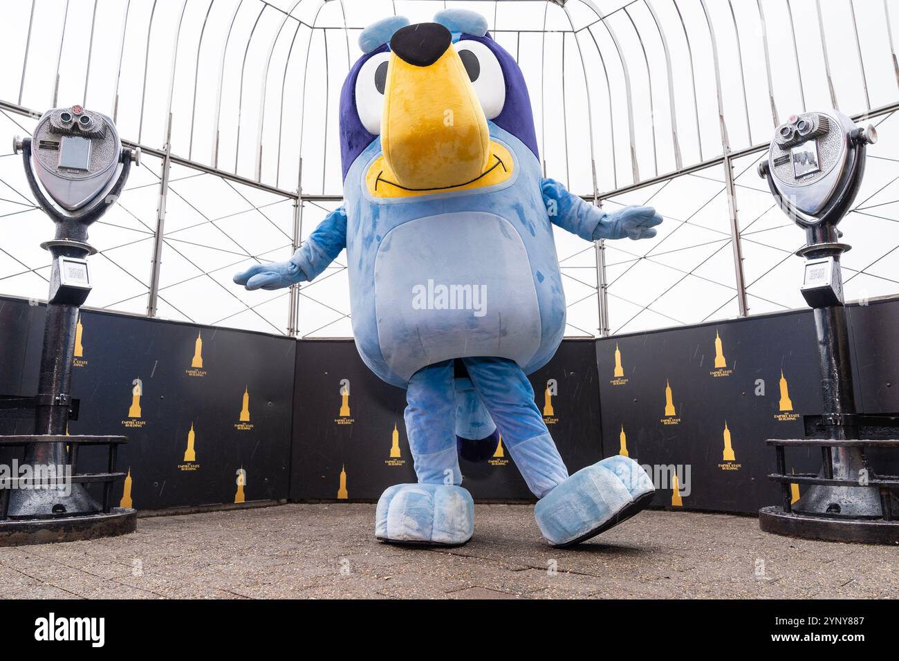 New York, NY, USA, 22. November 2024: Bluey aus Disney besucht das Empire State Building in New York am 22. November 2024 vor Macy's Thanksgiving Day Parade, wo ein Ballon von Bluey fliegen wird. Bluey wurde von Bingo und Muffin begleitet. Quelle: Lev Radin/Alamy Live News Stockfoto