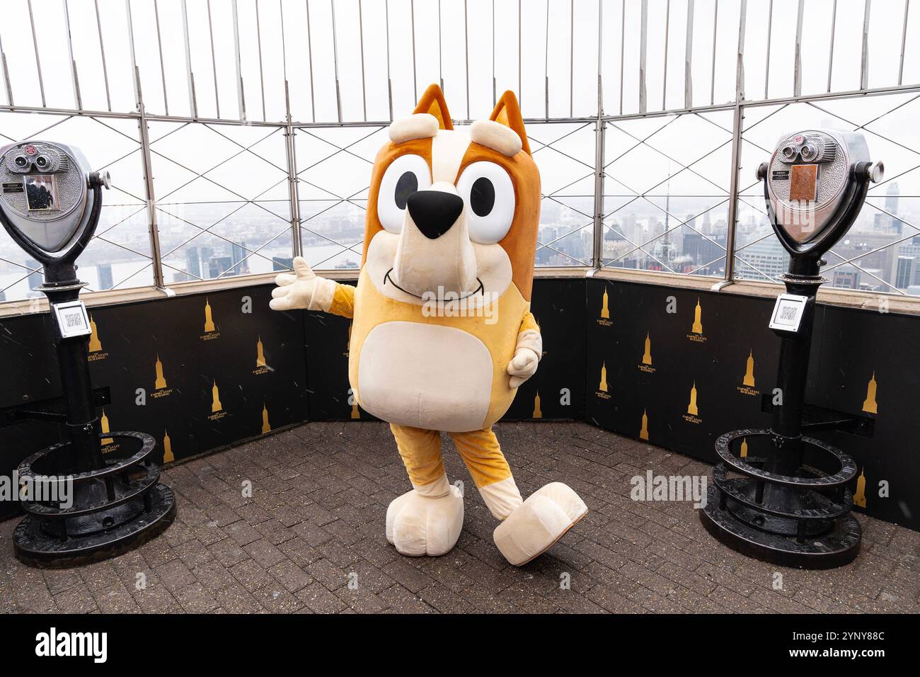 New York, NY, USA, 22. November 2024: Bingo aus der Disney-Zeichentrickserie „Bluey“ besucht das Empire State Building in New York am 22. November 2024 vor Macy's Thanksgiving Day Parade, wo ein Ballon von Bluey fliegen wird. Bingo wurde von Bluey und Muffin begleitet. Quelle: Lev Radin/Alamy Live News Stockfoto