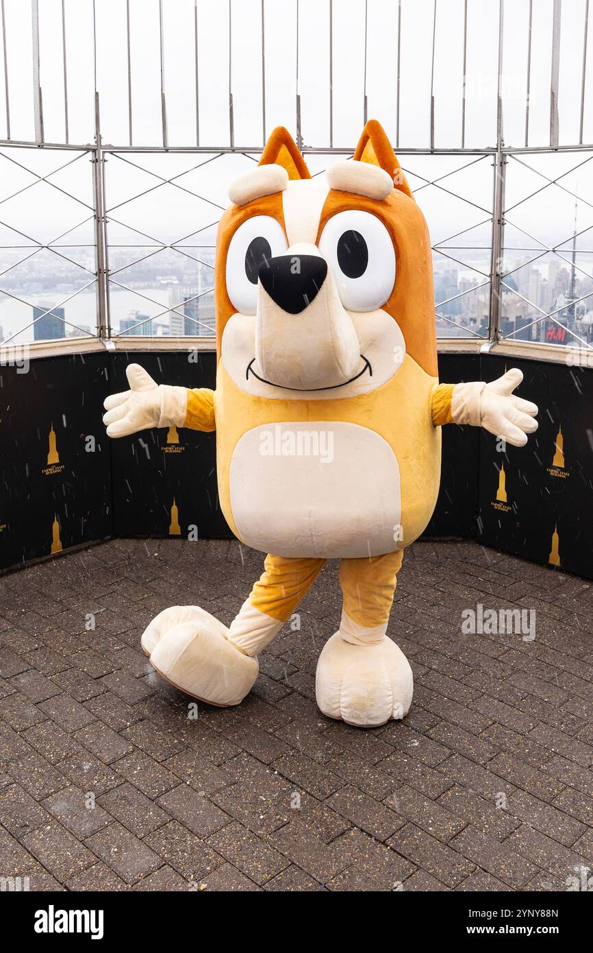 New York, NY, USA, 22. November 2024: Bingo aus der Disney-Zeichentrickserie „Bluey“ besucht das Empire State Building in New York am 22. November 2024 vor Macy's Thanksgiving Day Parade, wo ein Ballon von Bluey fliegen wird. Bingo wurde von Bluey und Muffin begleitet. Quelle: Lev Radin/Alamy Live News Stockfoto
