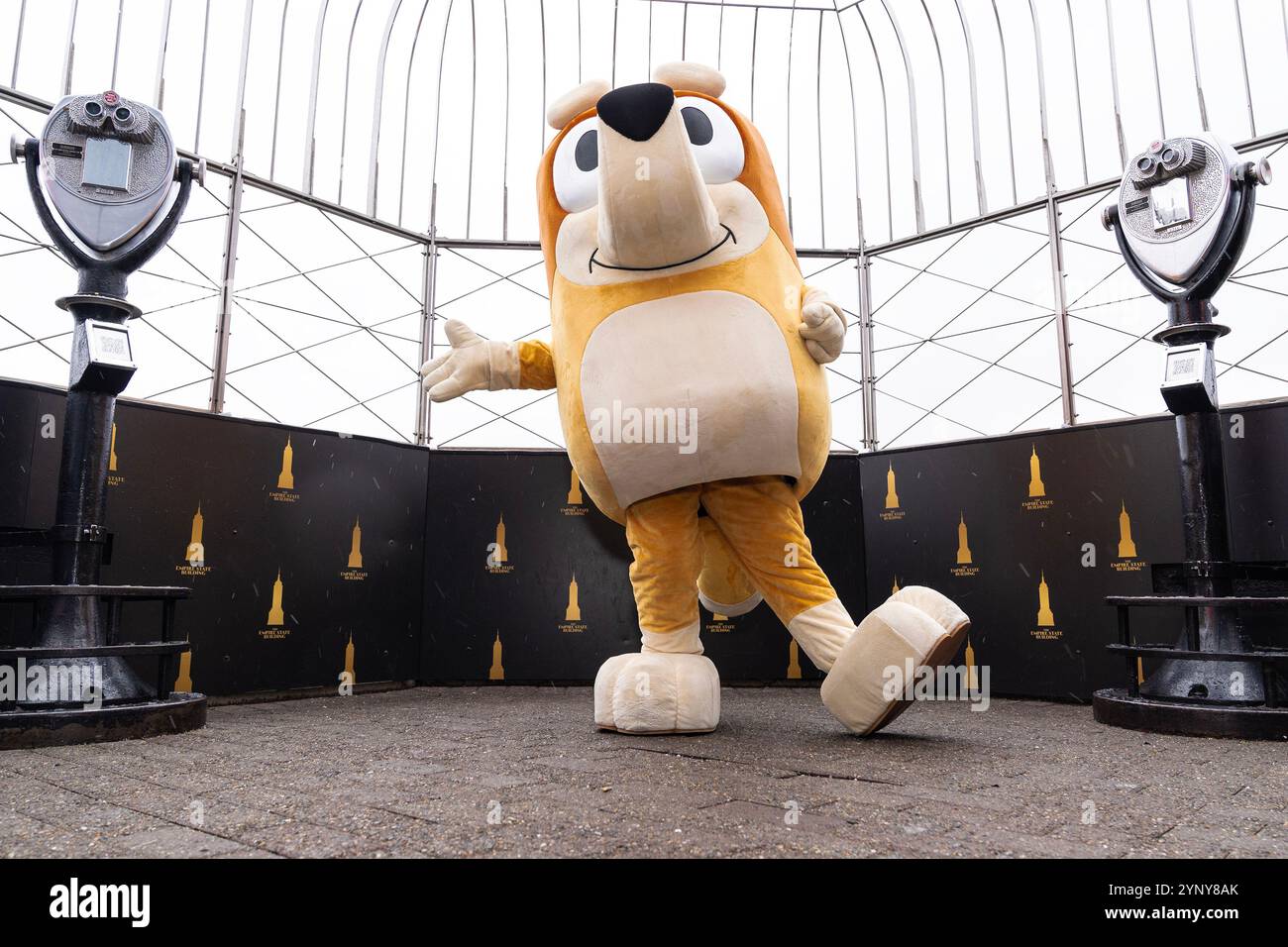 New York, NY, USA, 22. November 2024: Bingo aus der Disney-Zeichentrickserie „Bluey“ besucht das Empire State Building in New York am 22. November 2024 vor Macy's Thanksgiving Day Parade, wo ein Ballon von Bluey fliegen wird. Bingo wurde von Bluey und Muffin begleitet. Quelle: Lev Radin/Alamy Live News Stockfoto