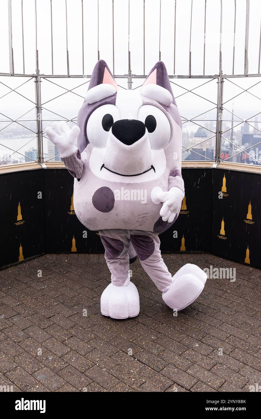 New York, NY, USA, 22. November 2024: Muffin aus der Disney-Zeichentrickserie „Bluey“ besucht das Empire State Building in New York am 22. November 2024 vor Macy's Thanksgiving Day Parade, wo ein Ballon von Bluey fliegen wird. Muffin wurde von Bluey- und Bingo-Charakteren begleitet. Quelle: Lev Radin/Alamy Live News Stockfoto