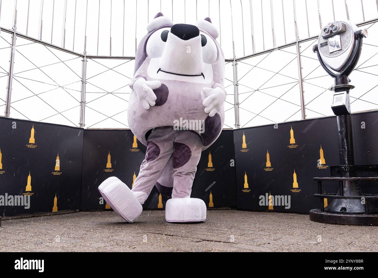 New York, NY, USA, 22. November 2024: Muffin aus der Disney-Zeichentrickserie „Bluey“ besucht das Empire State Building in New York am 22. November 2024 vor Macy's Thanksgiving Day Parade, wo ein Ballon von Bluey fliegen wird. Muffin wurde von Bluey- und Bingo-Charakteren begleitet. Quelle: Lev Radin/Alamy Live News Stockfoto