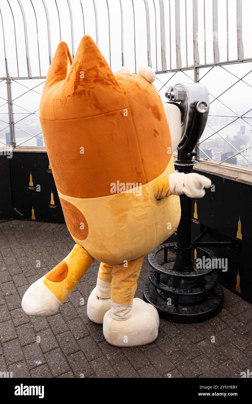 New York, NY, USA, 22. November 2024: Bingo aus der Disney-Zeichentrickserie „Bluey“ besucht das Empire State Building in New York am 22. November 2024 vor Macy's Thanksgiving Day Parade, wo ein Ballon von Bluey fliegen wird. Bingo wurde von Bluey und Muffin begleitet. Quelle: Lev Radin/Alamy Live News Stockfoto