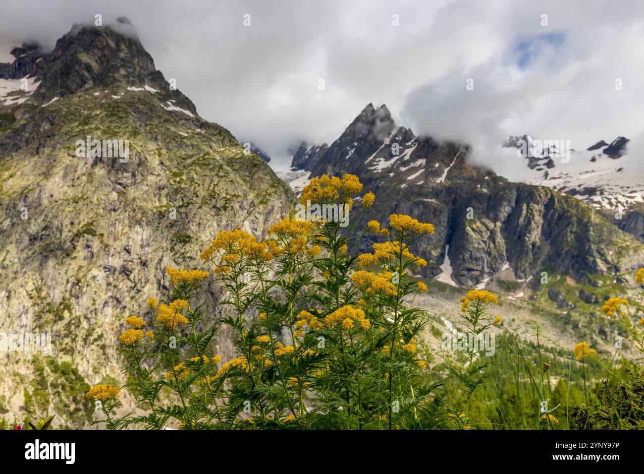 Berglandschaft Val Ferret in den Alpen. Tour du Mont Blanc wunderschöne Panoramaaussicht vom Wanderweg auf dem Weg von Itlay in die Schweiz Stockfoto Berglandschaft Val Ferret in den Alpen. Tour du Mont Blanc wunderschöne Panoramaaussicht vom Wanderweg auf dem Weg von Itlay in die Schweiz Stockfoto