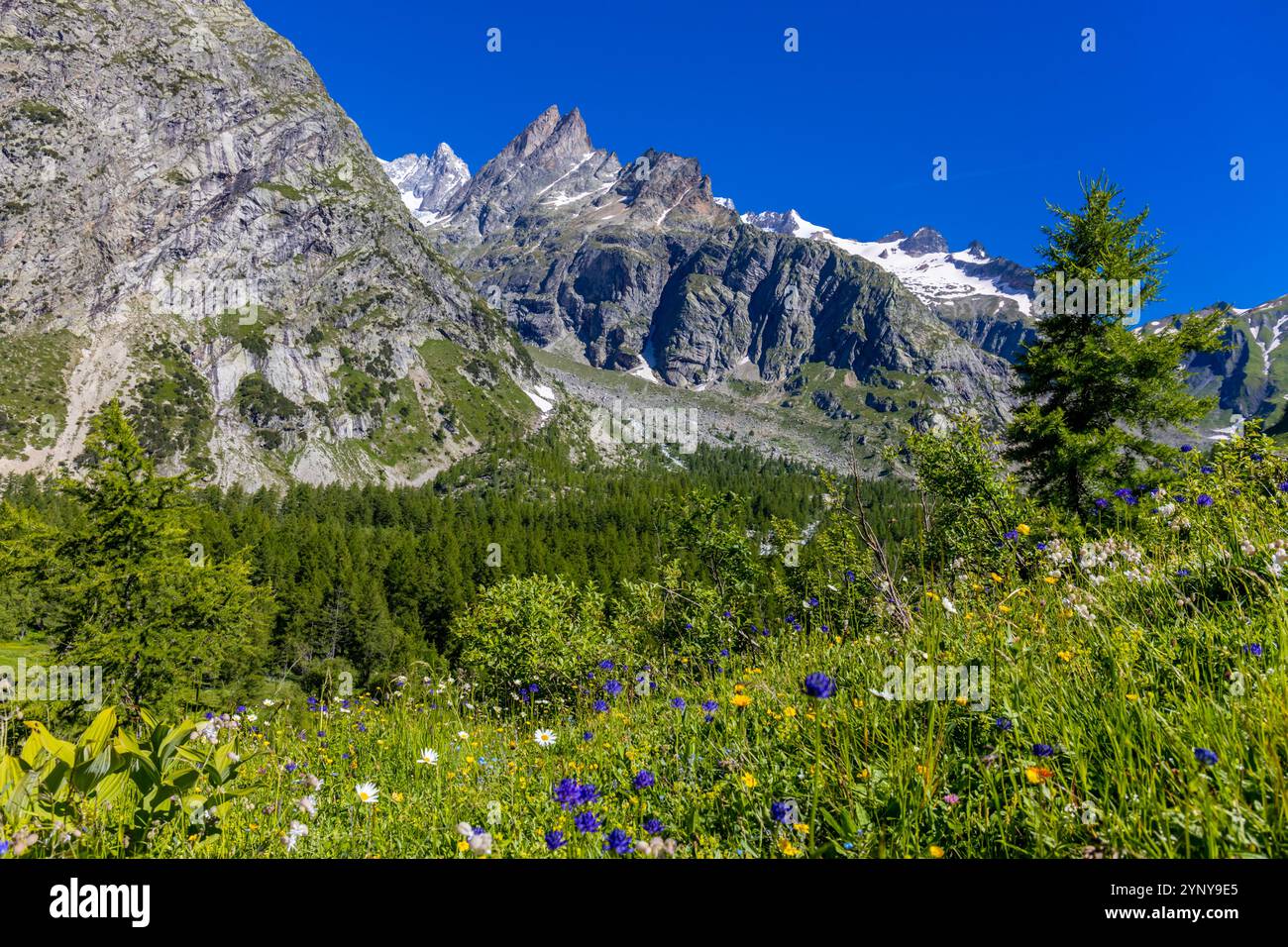 Berglandschaft Val Ferret in den Alpen. Tour du Mont Blanc wunderschöne Panoramaaussicht vom Wanderweg auf dem Weg von Itlay in die Schweiz Stockfoto Berglandschaft Val Ferret in den Alpen. Tour du Mont Blanc wunderschöne Panoramaaussicht vom Wanderweg auf dem Weg von Itlay in die Schweiz Stockfoto