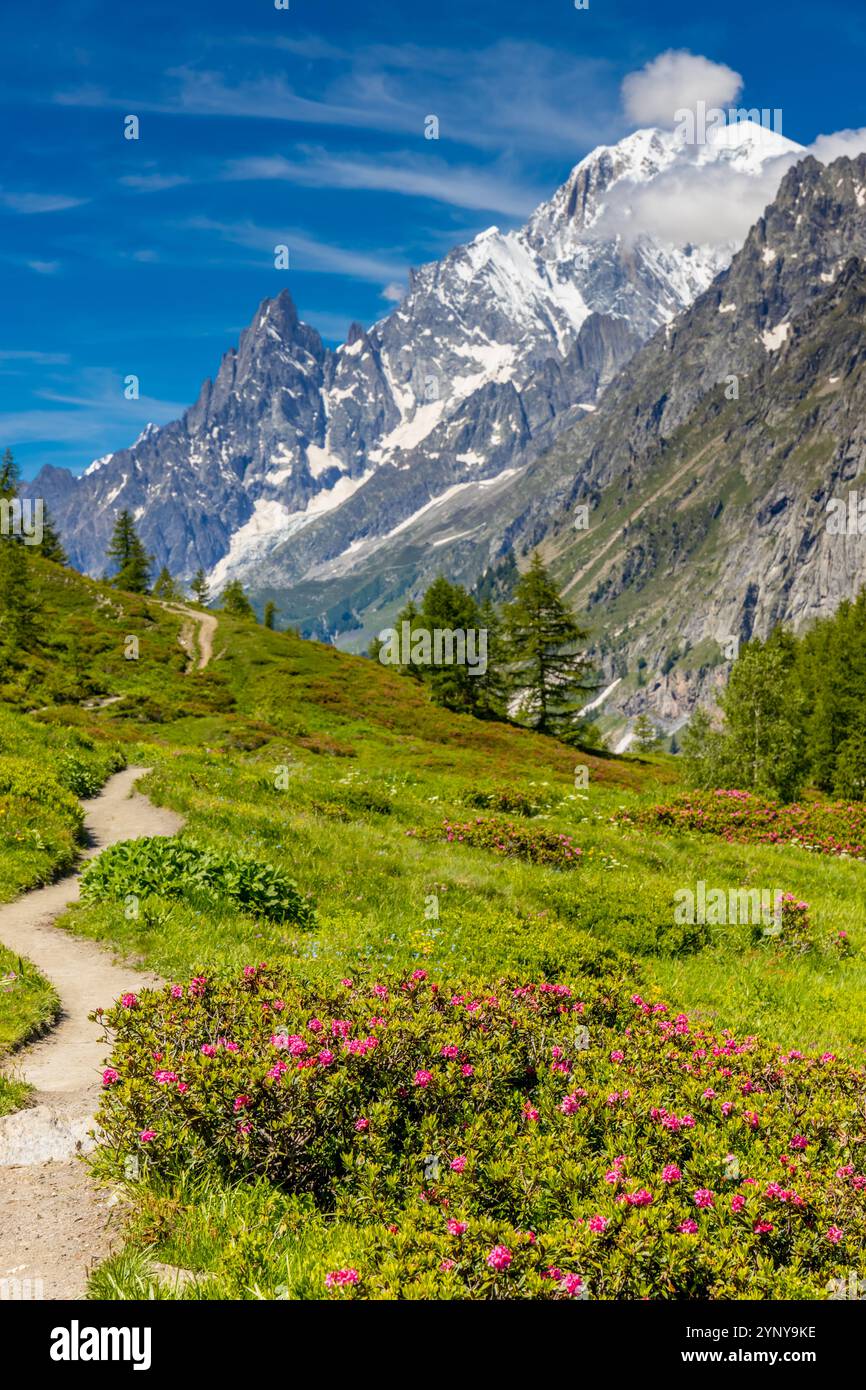 Berglandschaft Val Ferret in den Alpen. Tour du Mont Blanc wunderschöne Panoramaaussicht vom Wanderweg auf dem Weg von Itlay in die Schweiz Stockfoto Berglandschaft Val Ferret in den Alpen. Tour du Mont Blanc wunderschöne Panoramaaussicht vom Wanderweg auf dem Weg von Itlay in die Schweiz Stockfoto