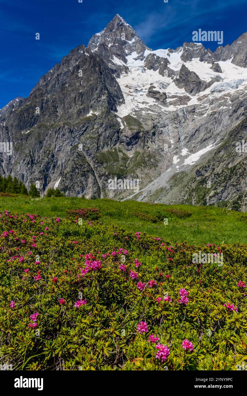 Berglandschaft Val Ferret in den Alpen. Tour du Mont Blanc wunderschöne Panoramaaussicht vom Wanderweg auf dem Weg von Itlay in die Schweiz Stockfoto Berglandschaft Val Ferret in den Alpen. Tour du Mont Blanc wunderschöne Panoramaaussicht vom Wanderweg auf dem Weg von Itlay in die Schweiz Stockfoto