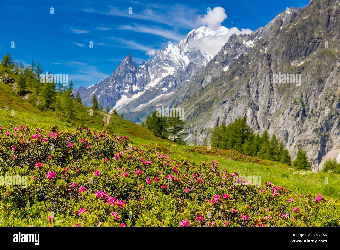 Berglandschaft Val Ferret in den Alpen. Tour du Mont Blanc wunderschöne Panoramaaussicht vom Wanderweg auf dem Weg von Itlay in die Schweiz Stockfoto Berglandschaft Val Ferret in den Alpen. Tour du Mont Blanc wunderschöne Panoramaaussicht vom Wanderweg auf dem Weg von Itlay in die Schweiz Stockfoto