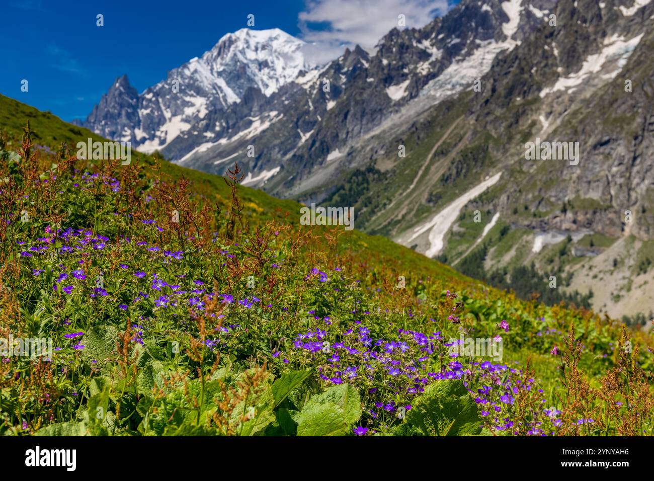 Berglandschaft Val Ferret in den Alpen. Tour du Mont Blanc wunderschöne Panoramaaussicht vom Wanderweg auf dem Weg von Itlay in die Schweiz Stockfoto Berglandschaft Val Ferret in den Alpen. Tour du Mont Blanc wunderschöne Panoramaaussicht vom Wanderweg auf dem Weg von Itlay in die Schweiz Stockfoto