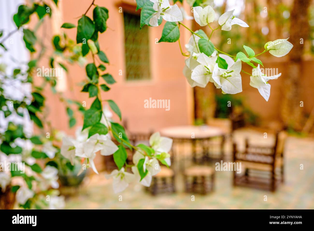 Marokkanischer Stil - im Innenhof eines Riads in Marokko Stockfoto