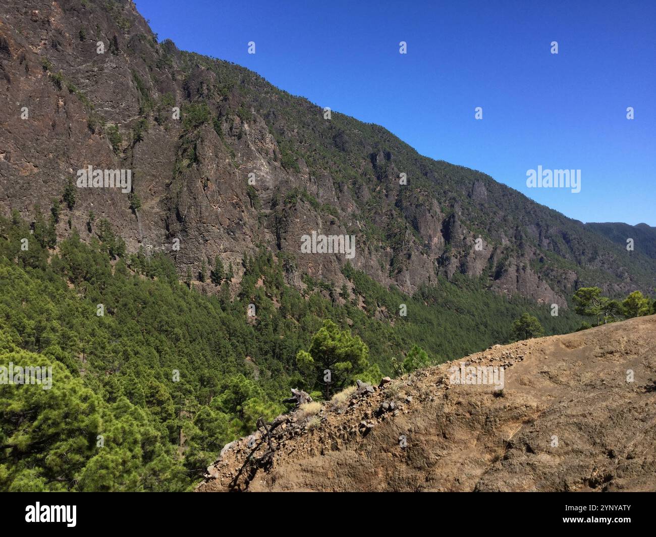 Diese atemberaubende Landschaft bietet steile Berghänge mit grüner Vegetation unter einem klaren blauen Himmel. Die Felsvorsprünge betonen die natürliche Schönheit o Stockfoto