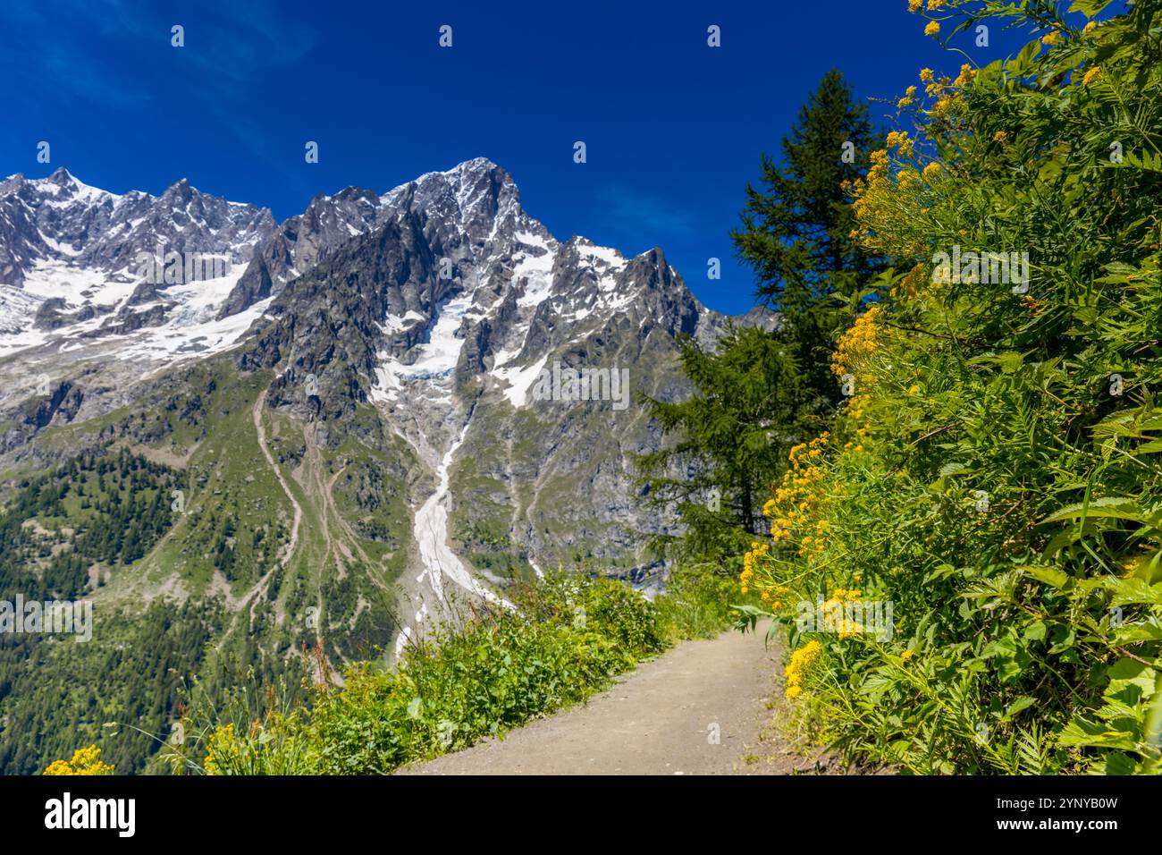 Berglandschaft Val Ferret in den Alpen. Tour du Mont Blanc wunderschöne Panoramaaussicht vom Wanderweg auf dem Weg von Itlay in die Schweiz Stockfoto Berglandschaft Val Ferret in den Alpen. Tour du Mont Blanc wunderschöne Panoramaaussicht vom Wanderweg auf dem Weg von Itlay in die Schweiz Stockfoto