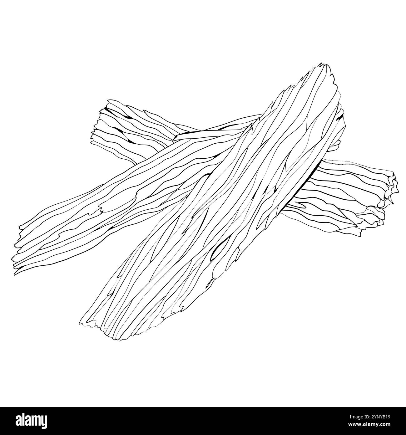 Sandelholz. Eine Basisnote in der Parfümerie. Pflanzliches aromatisches Öl zur Herstellung von Parfums. Umrissdarstellung. Stock Vektor