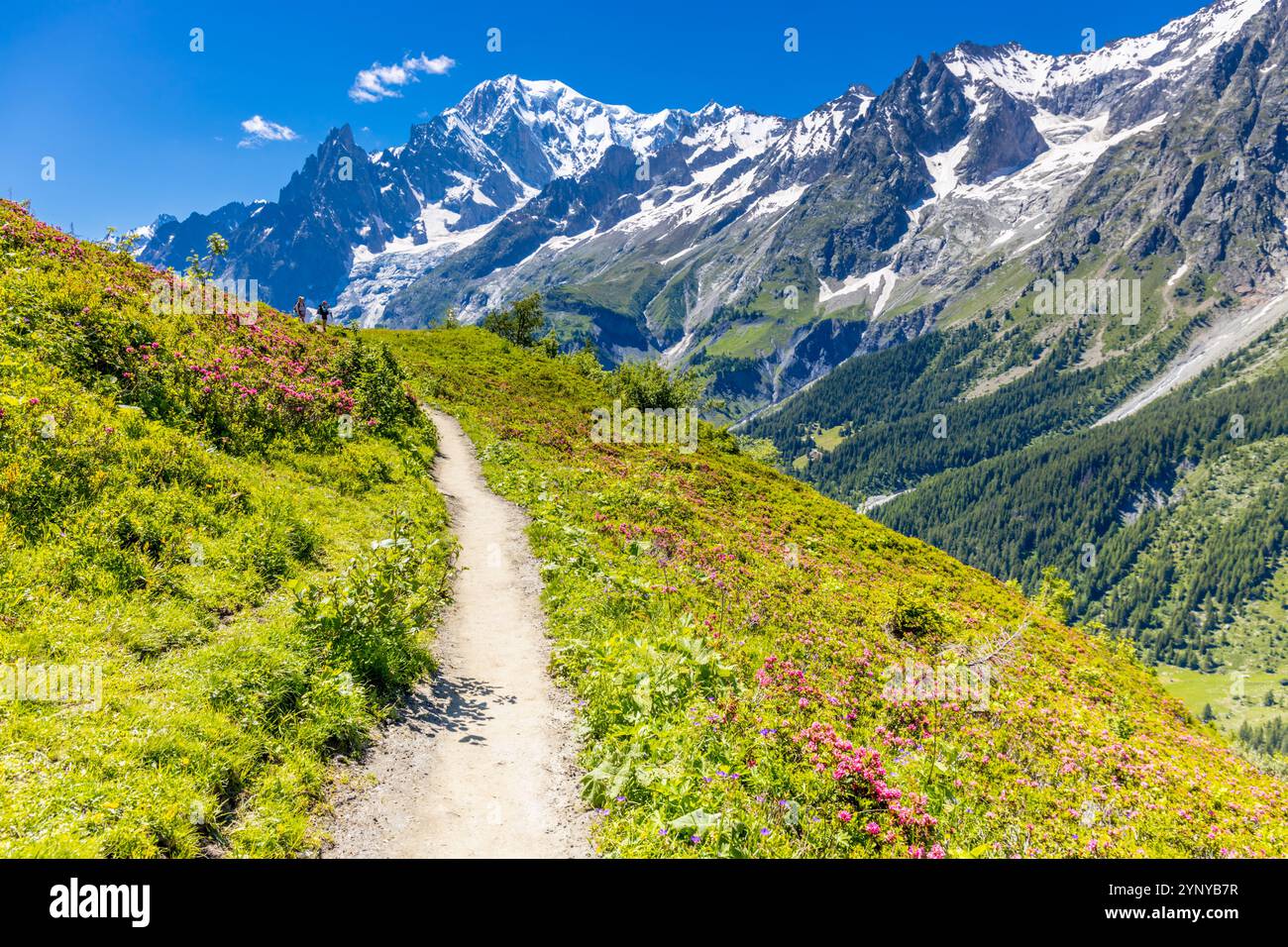 Berglandschaft Val Ferret in den Alpen. Tour du Mont Blanc wunderschöne Panoramaaussicht vom Wanderweg auf dem Weg von Itlay in die Schweiz Stockfoto Berglandschaft Val Ferret in den Alpen. Tour du Mont Blanc wunderschöne Panoramaaussicht vom Wanderweg auf dem Weg von Itlay in die Schweiz Stockfoto