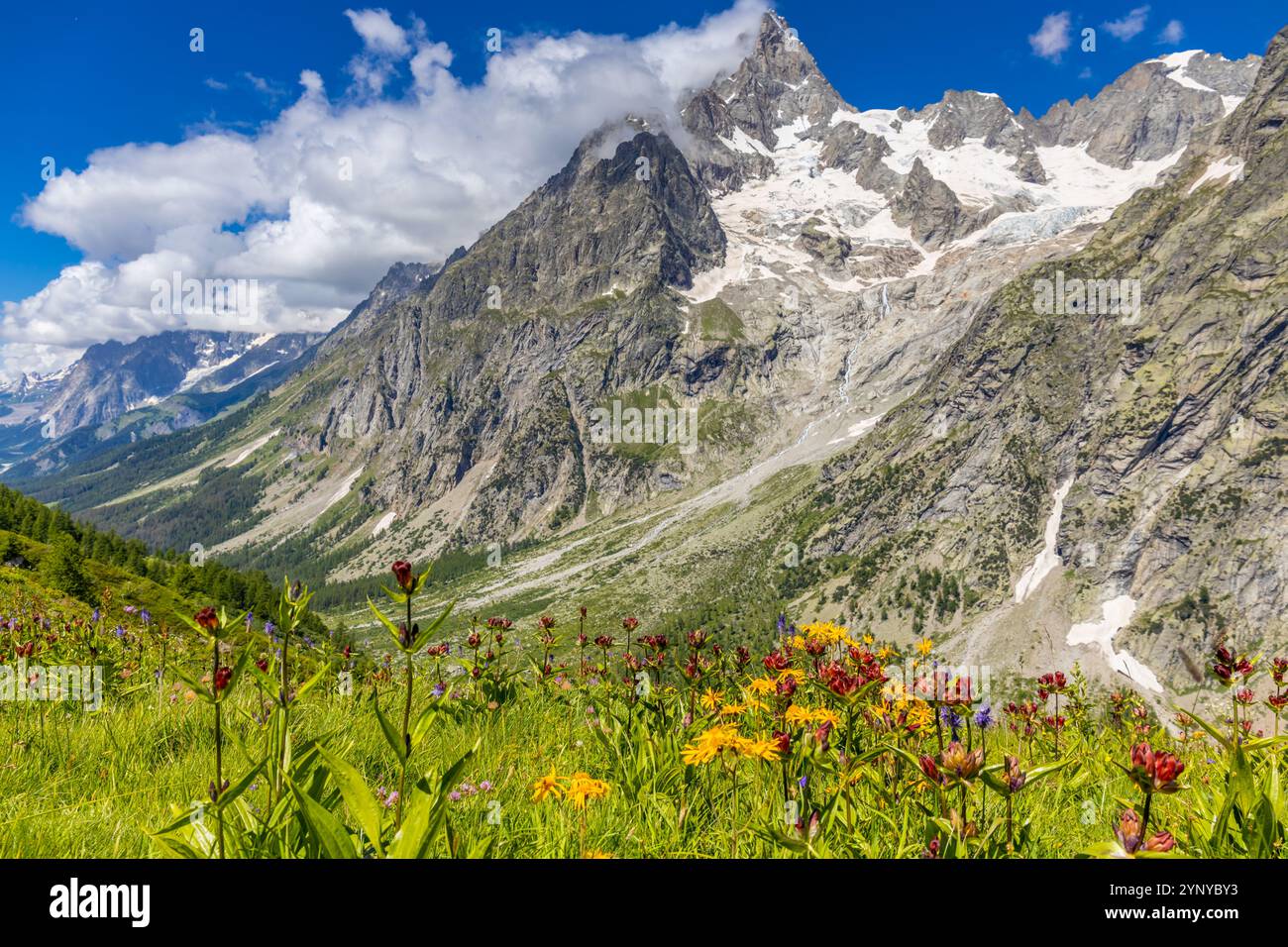 Berglandschaft Val Ferret in den Alpen. Tour du Mont Blanc wunderschöne Panoramaaussicht vom Wanderweg auf dem Weg von Itlay in die Schweiz Stockfoto Berglandschaft Val Ferret in den Alpen. Tour du Mont Blanc wunderschöne Panoramaaussicht vom Wanderweg auf dem Weg von Itlay in die Schweiz Stockfoto