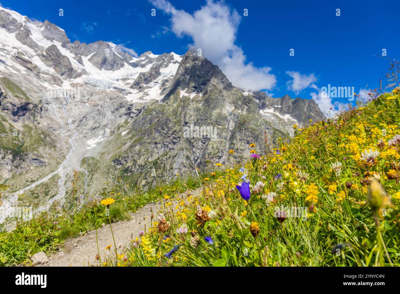Berglandschaft Val Ferret in den Alpen. Tour du Mont Blanc wunderschöne Panoramaaussicht vom Wanderweg auf dem Weg von Itlay in die Schweiz Stockfoto Berglandschaft Val Ferret in den Alpen. Tour du Mont Blanc wunderschöne Panoramaaussicht vom Wanderweg auf dem Weg von Itlay in die Schweiz Stockfoto