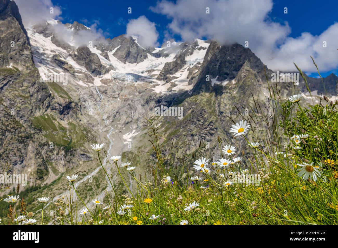 Berglandschaft Val Ferret in den Alpen. Tour du Mont Blanc wunderschöne Panoramaaussicht vom Wanderweg auf dem Weg von Itlay in die Schweiz Stockfoto Berglandschaft Val Ferret in den Alpen. Tour du Mont Blanc wunderschöne Panoramaaussicht vom Wanderweg auf dem Weg von Itlay in die Schweiz Stockfoto