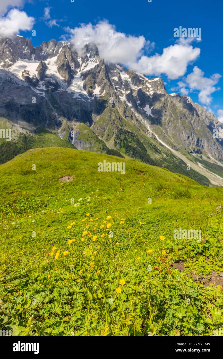 Berglandschaft Val Ferret in den Alpen. Tour du Mont Blanc wunderschöne Panoramaaussicht vom Wanderweg auf dem Weg von Itlay in die Schweiz Stockfoto Berglandschaft Val Ferret in den Alpen. Tour du Mont Blanc wunderschöne Panoramaaussicht vom Wanderweg auf dem Weg von Itlay in die Schweiz Stockfoto