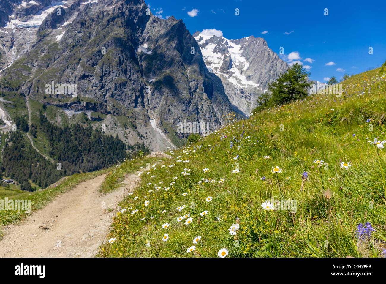 Berglandschaft Val Ferret in den Alpen. Tour du Mont Blanc wunderschöne Panoramaaussicht vom Wanderweg auf dem Weg von Itlay in die Schweiz Stockfoto Berglandschaft Val Ferret in den Alpen. Tour du Mont Blanc wunderschöne Panoramaaussicht vom Wanderweg auf dem Weg von Itlay in die Schweiz Stockfoto