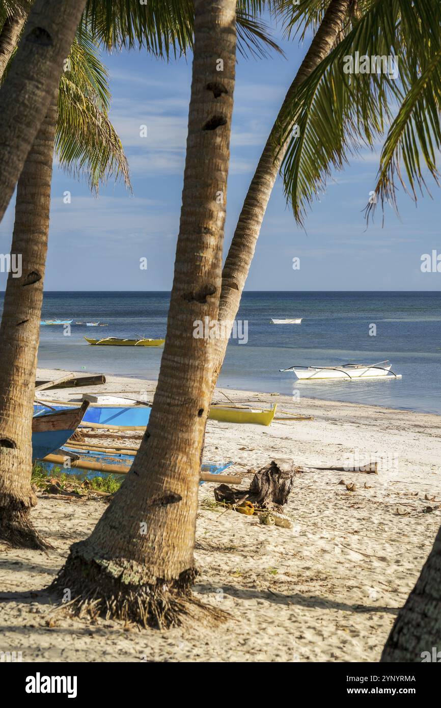 Strand mit Bangka Boot auf den Philippinen auf der Insel Siquijor Stockfoto