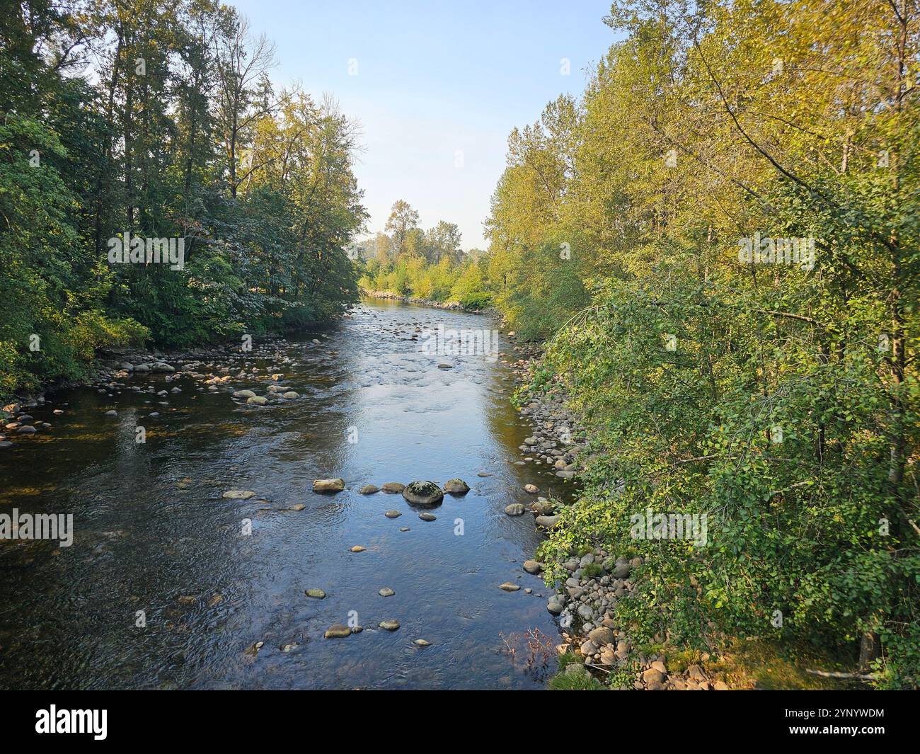 Ein friedlicher Fluss fließt sanft zwischen Bäumen und umschließt die Ruhe der Natur auf beiden Seiten - Smartphone-aufgenommenes Stockfoto