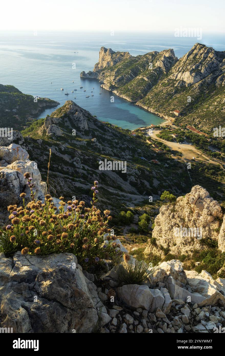 Calanque de Sormiou am Morgen, Nationalpark in der Nähe von Marseille Stockfoto