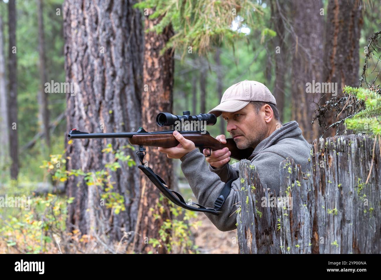 Jagen. Ein Jäger versteckt sich hinter einem Baumstumpf, zielt mit einem Gewehr auf das Spiel und blickt durch das Oszilloskop. Seitenansicht. Stockfoto