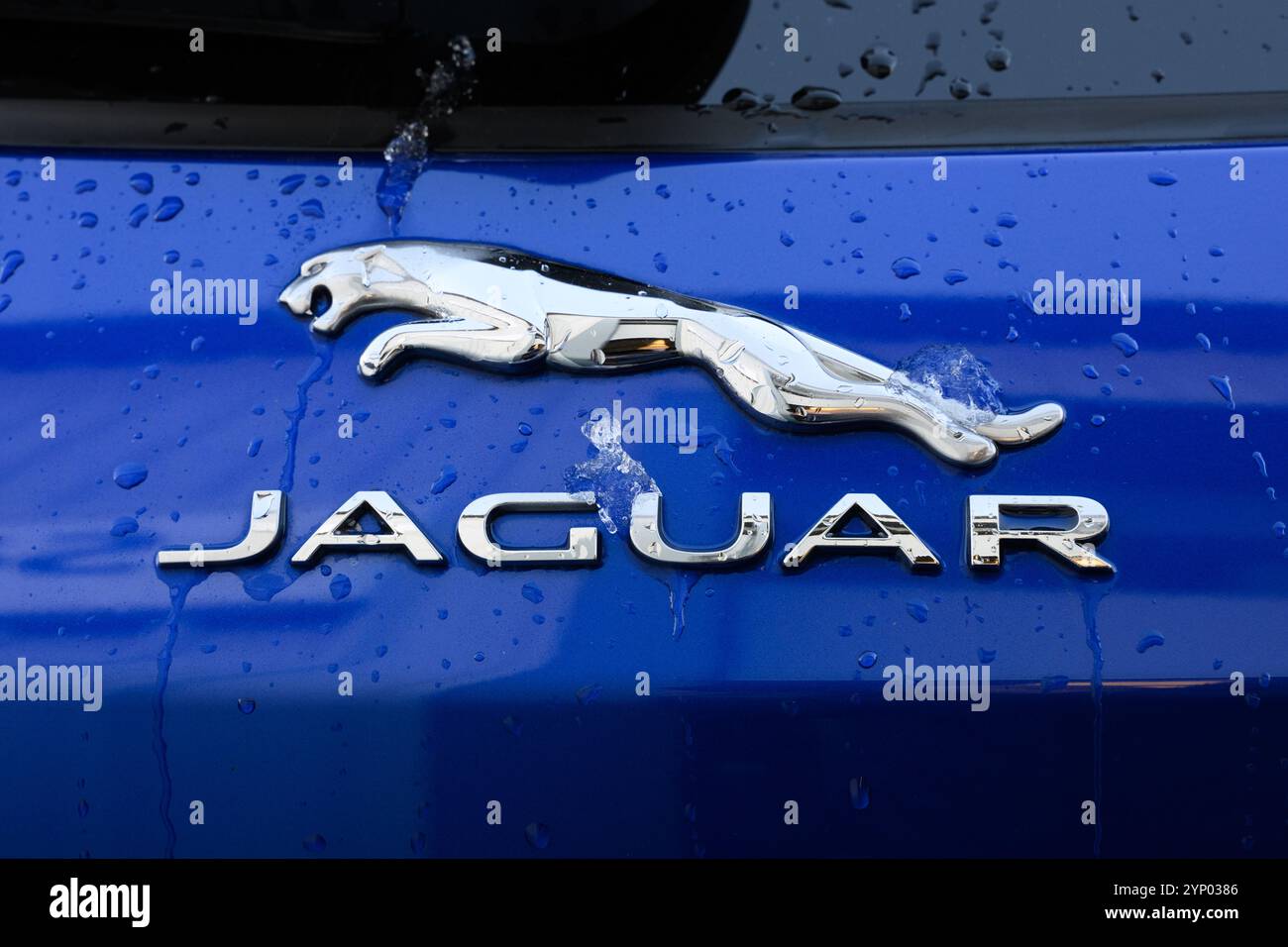 Derby, Großbritannien – 22. November 2024: Luxusmarke im Automobilbereich: Jaguar Logo im Fokus mit Schnee und Regen Stockfoto