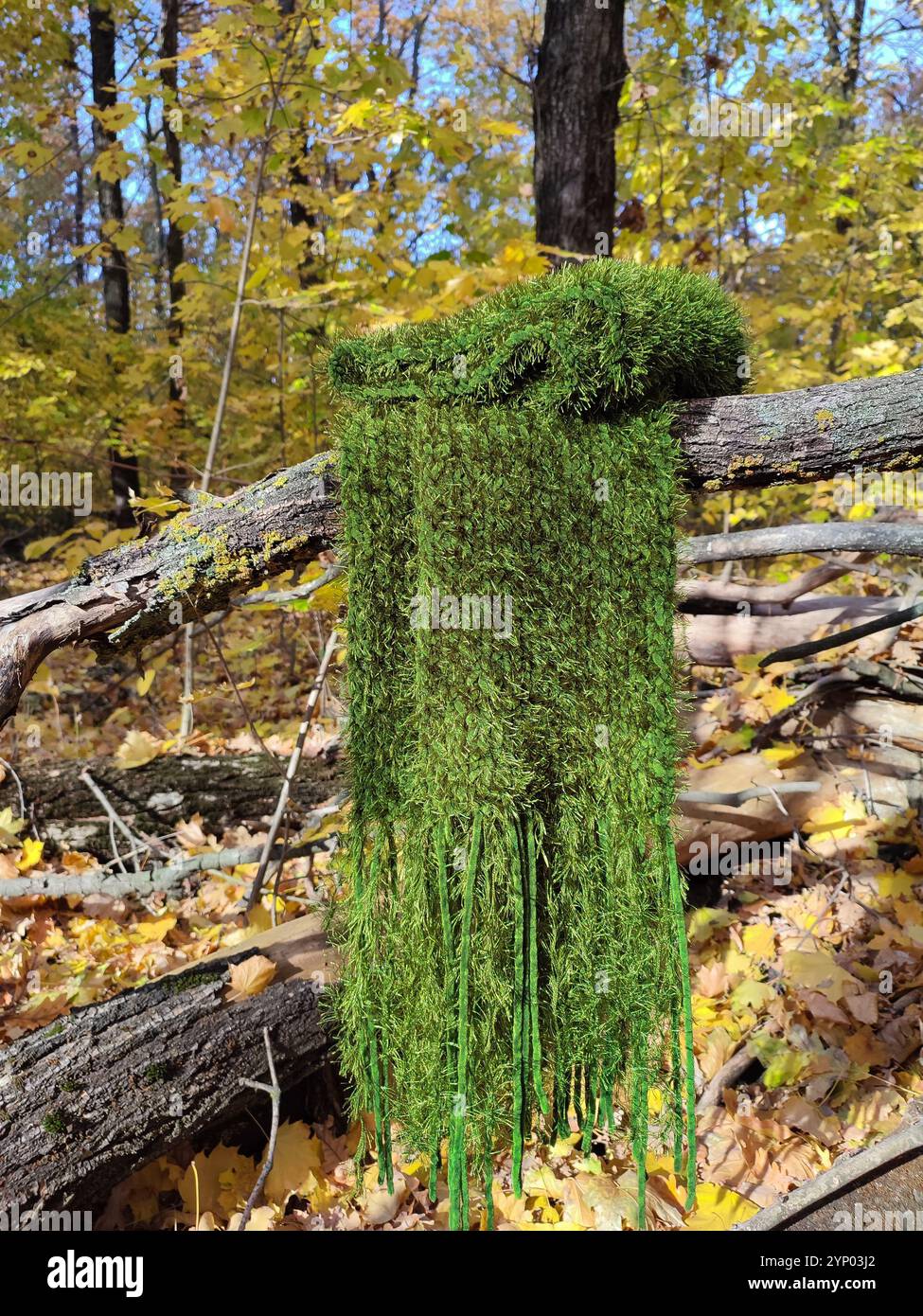 Grüner Strickschal, Fransen, Grasfellschal mit Moosstruktur, langer flauschiger Schal im Herbstwald, Samtschal, Halskleidung, Accessoire, Natur inspiriert Stockfoto