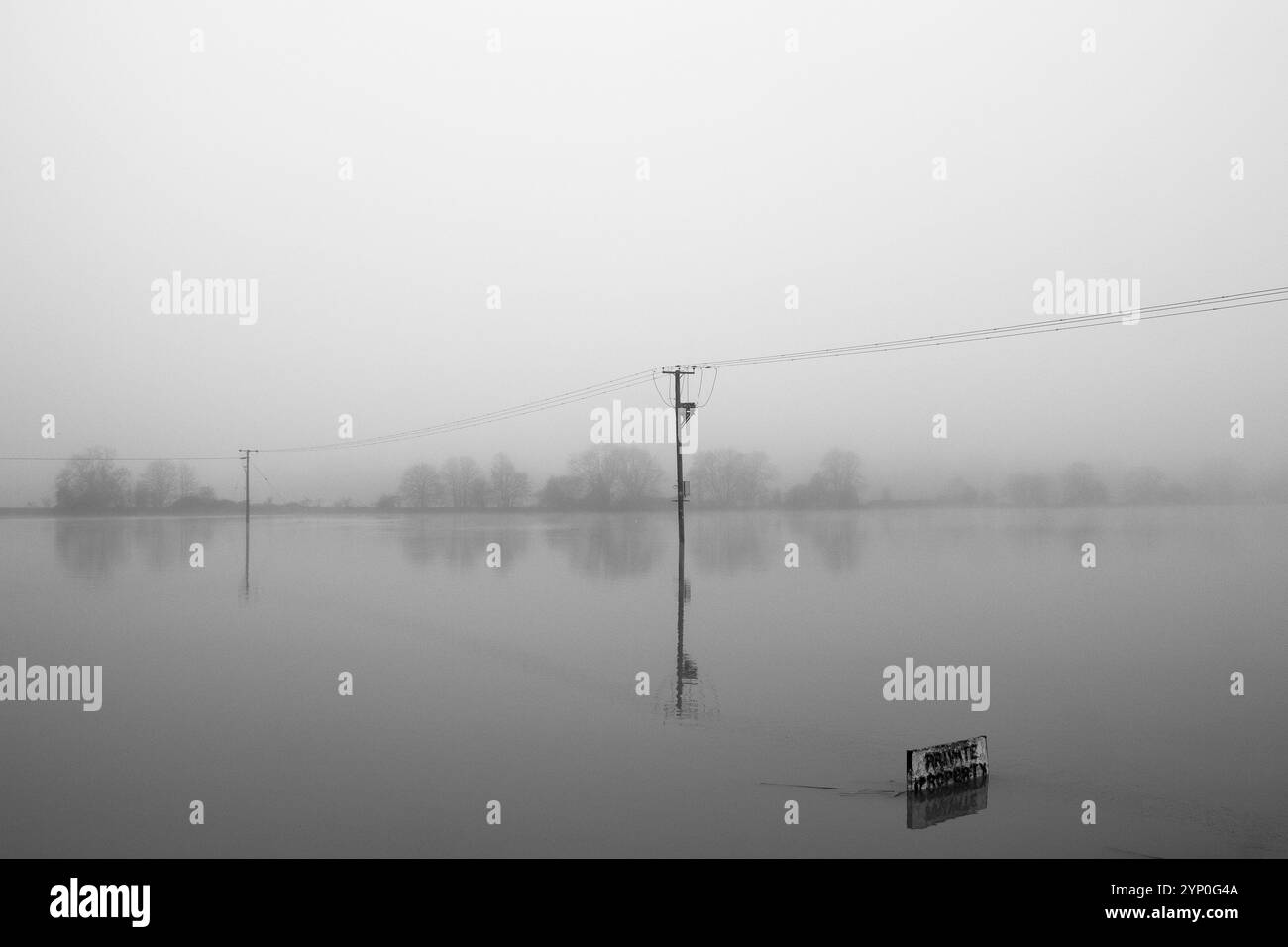Überflutete Wasserwiesen im Nebel Stockfoto