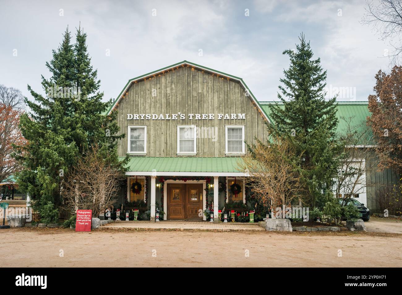 Drysdale's Christmas Tree Farm in der Nähe von Egbert, Ontario, Kanada Stockfoto