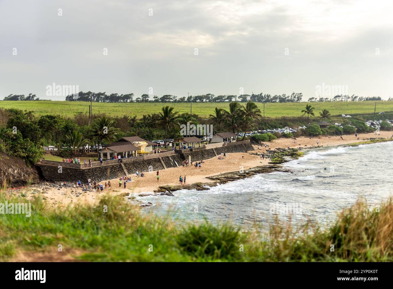 Hookipa ist ein hawaiianischer Strand, umgeben von üppigem Grün und Palmen, der eine lebhafte Küstenatmosphäre bietet, und er ist einer der besten Strände für Stockfoto