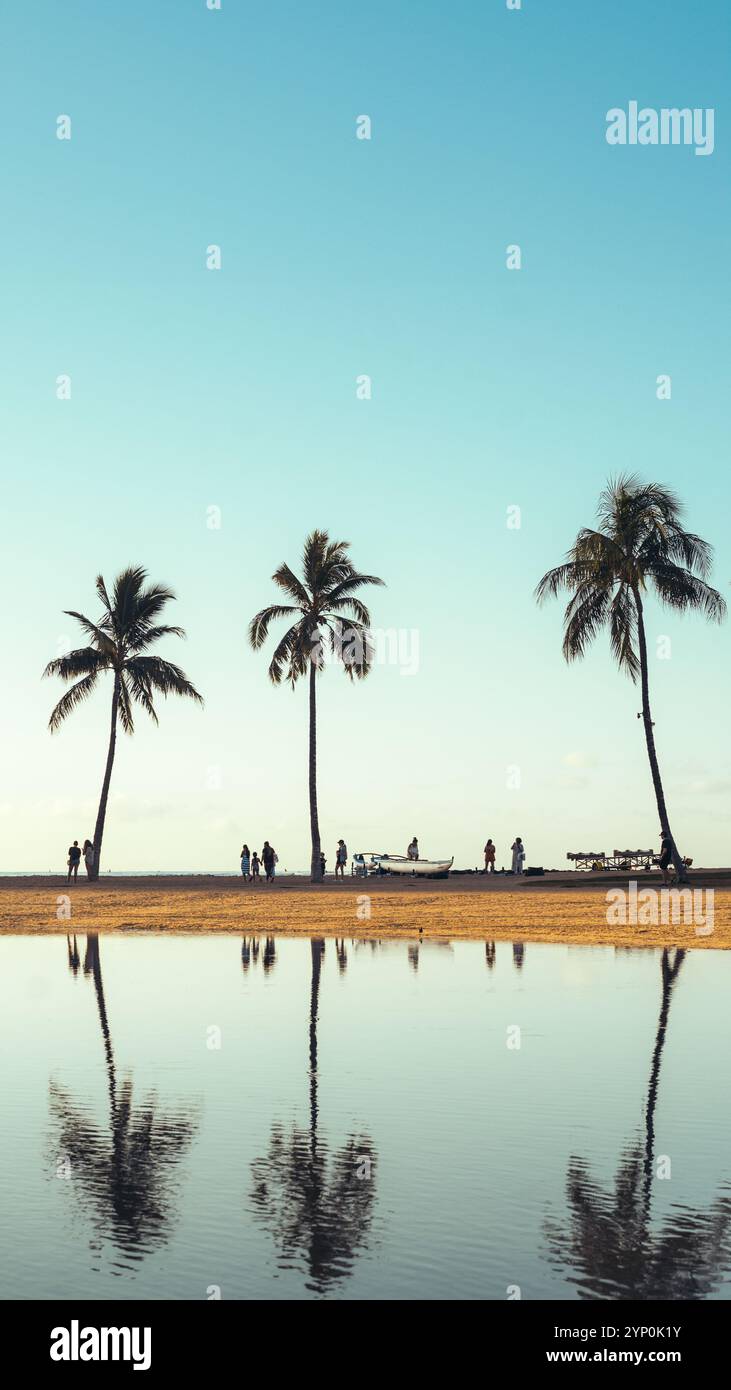 Vertikale Aufnahme eines atemberaubenden Ausblicks auf Palmen und Menschen, die Waikiki Beach in Hawaii säumen, mit Reflexen im Wasser Stockfoto