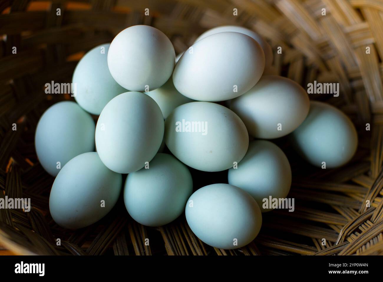 Ein Korb voller Bio-Eier in Bambus-Webkorb. Stockfoto