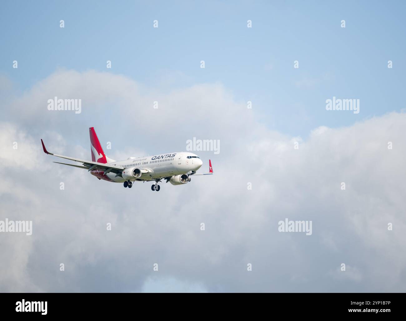 Auckland, Neuseeland - 24. November 2024: Qantas Airlines Boeing 737 fliegt in Richtung Auckland International Airport. Stockfoto