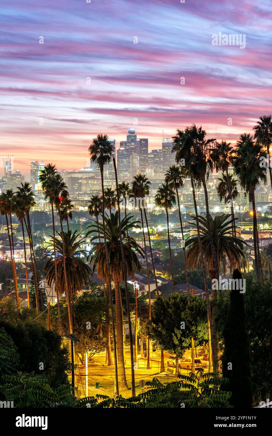 Die Skyline von Los Angeles und die Innenstadt mit Palmen im Porträt-Format bei Sonnenuntergang im Ela Park California USA Stockfoto