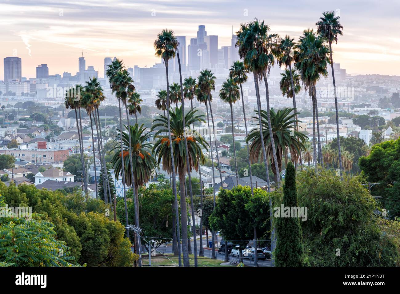 Die Skyline von Los Angeles und die Innenstadt mit Palmen bei Sonnenuntergang im Ela Park California USA Stockfoto